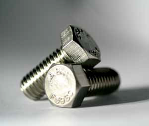 Stainless Hex Cap Screws