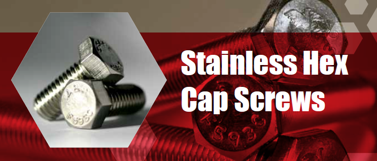 Stainless Hex Cap Screws